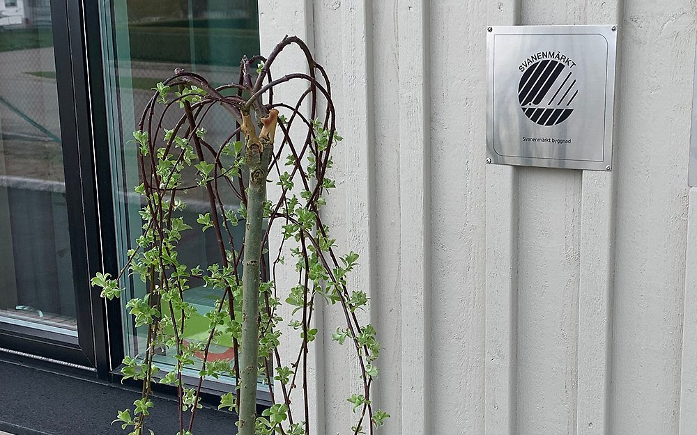 En grå husfasad med ett fönster. En grön växt i förgrunden. En metallplakett sitter på väggen. 